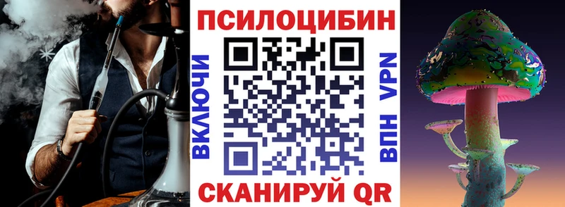 ссылка на мегу как зайти  это какой сайт  Муравленко  Галлюциногенные грибы мицелий  купить  